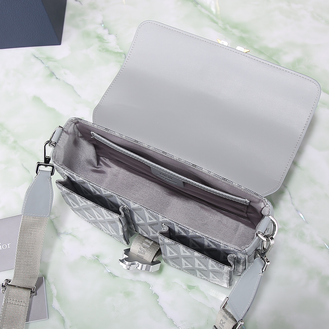 Dior Basic Bag Cow Leather Gray M-s