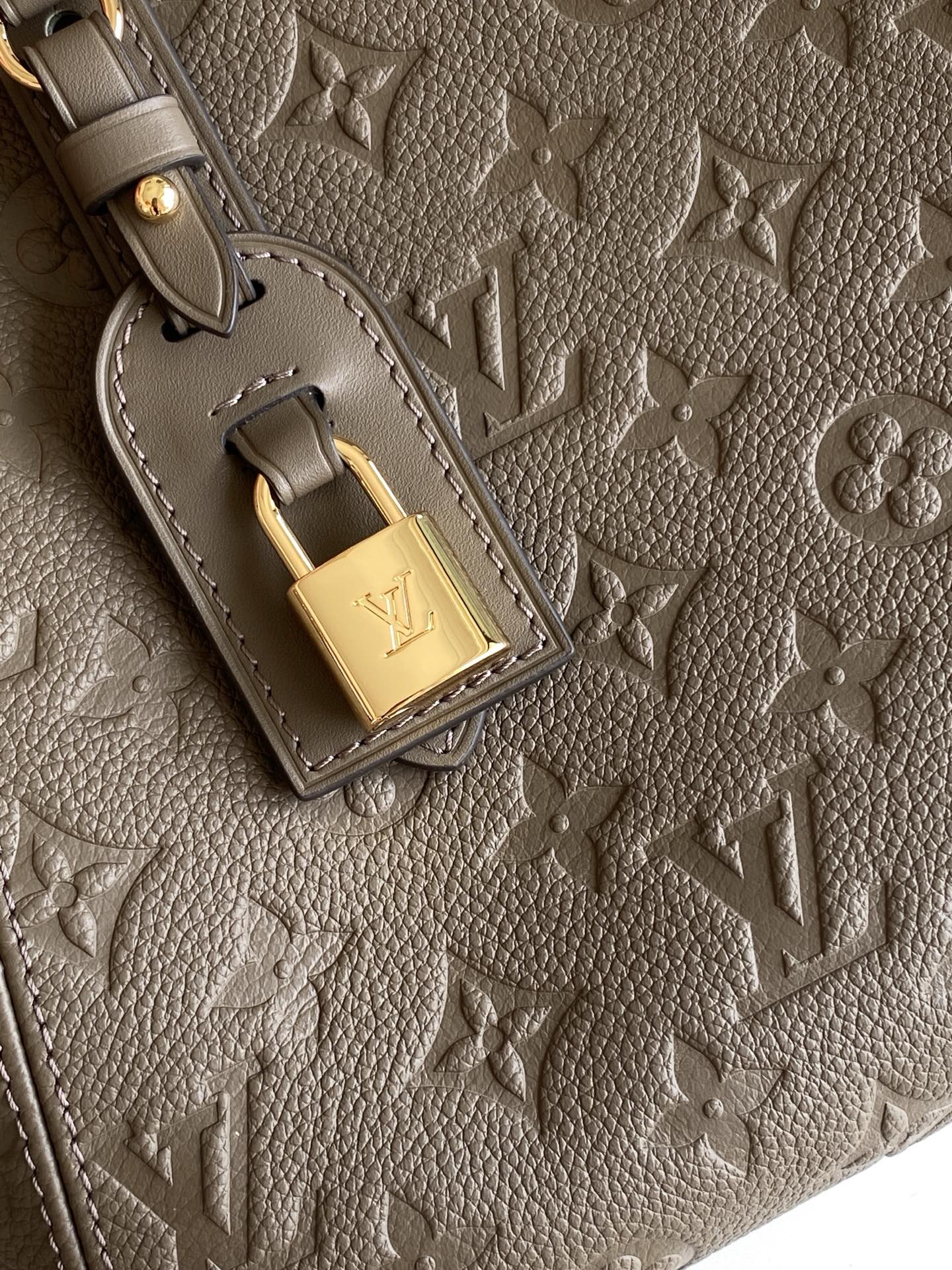 Louis Vuitton Tote Bag Cow Leather Black M-l