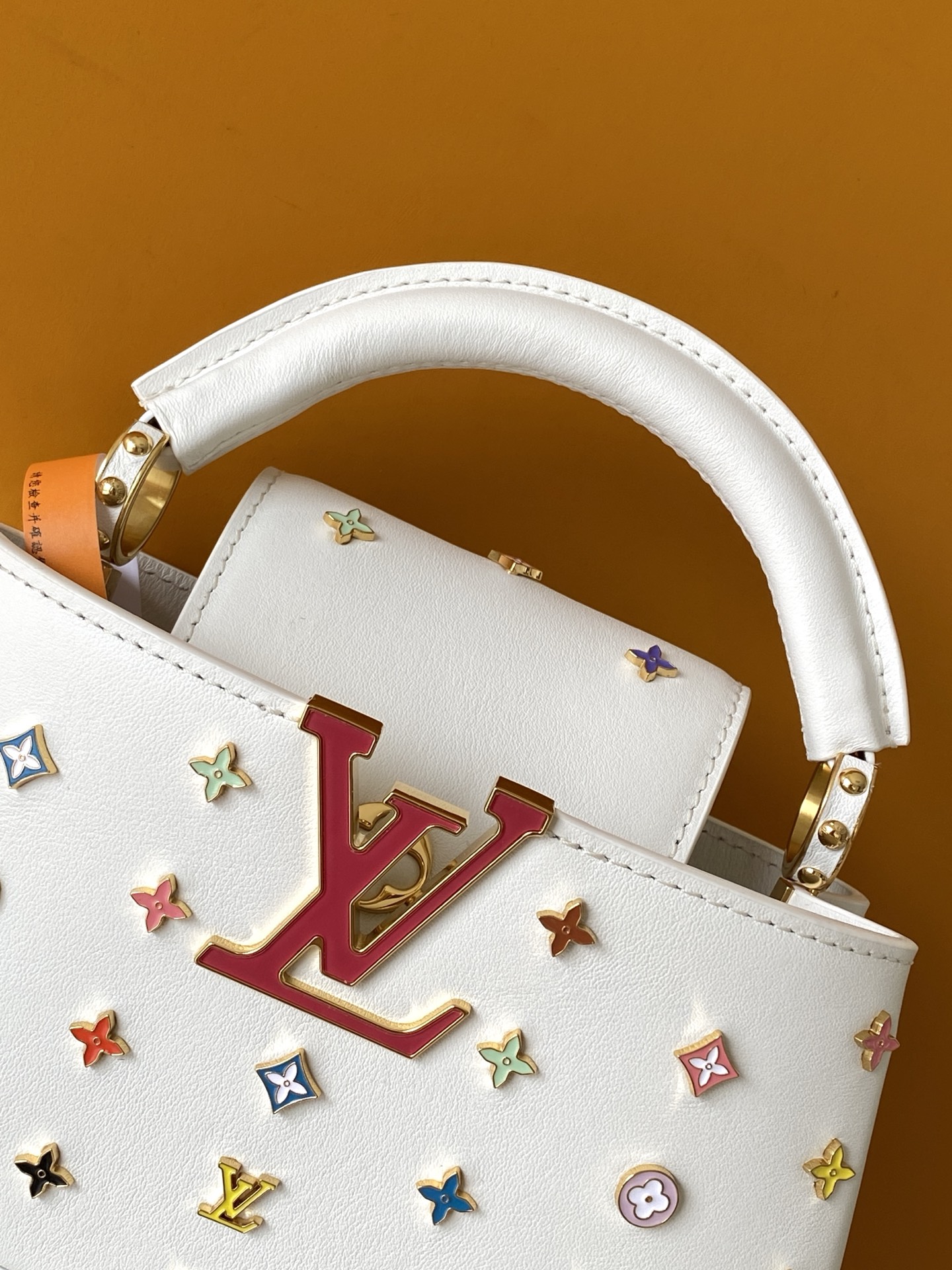 Louis Vuitton Basic Bag Cow Leather M-l-s