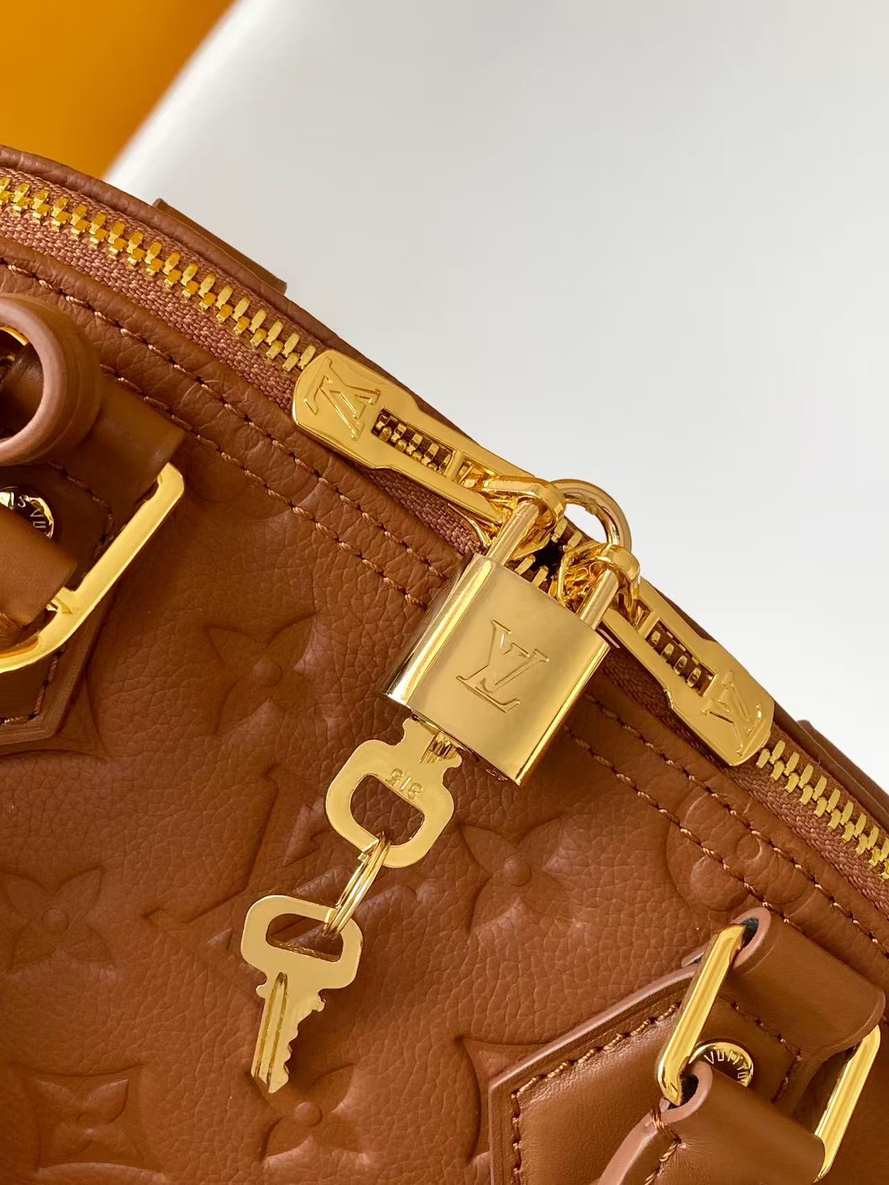 Louis Vuitton Basic Bag Cow Leather M-l-s