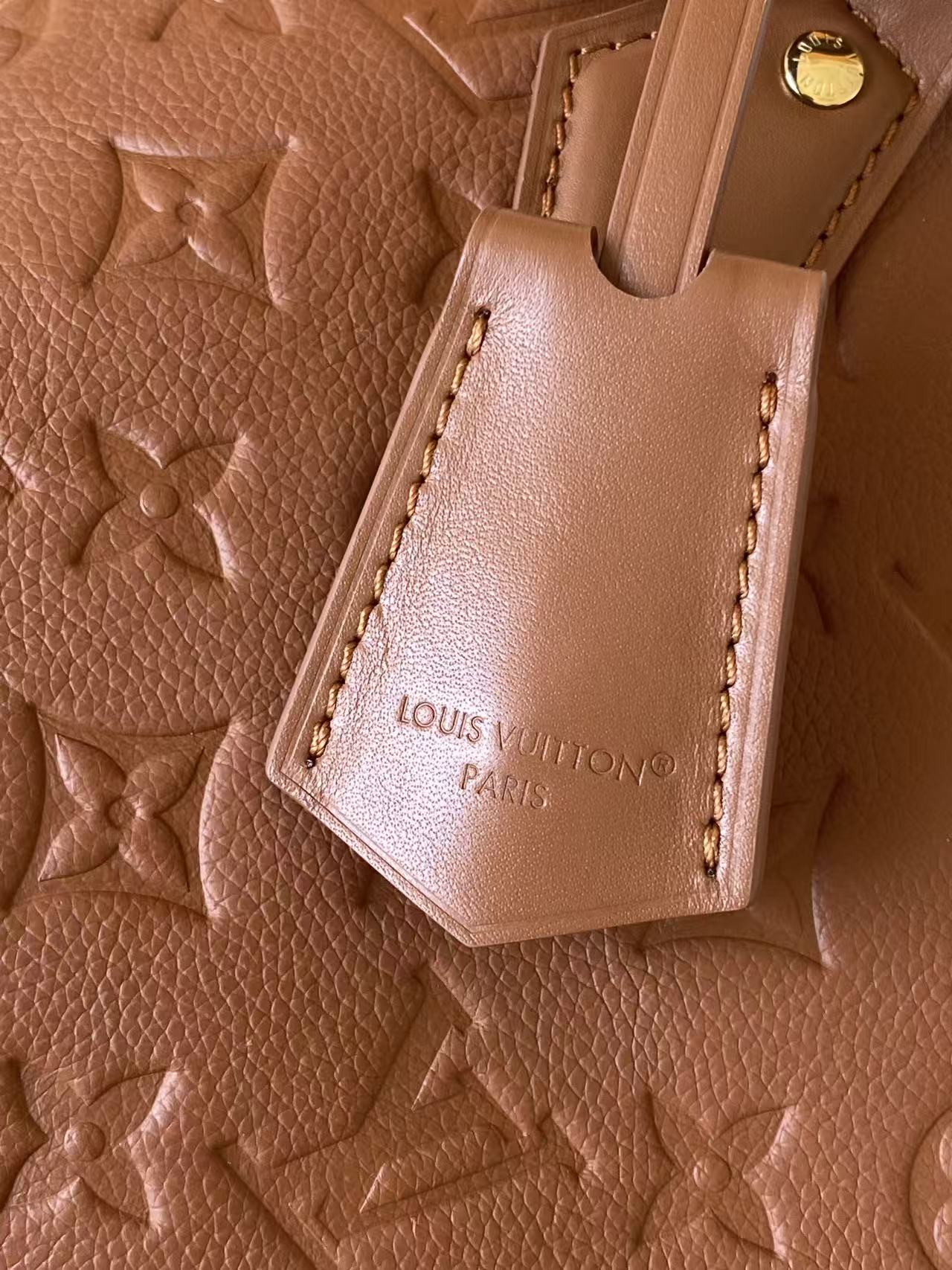 Louis Vuitton Basic Bag Cow Leather M-l-s
