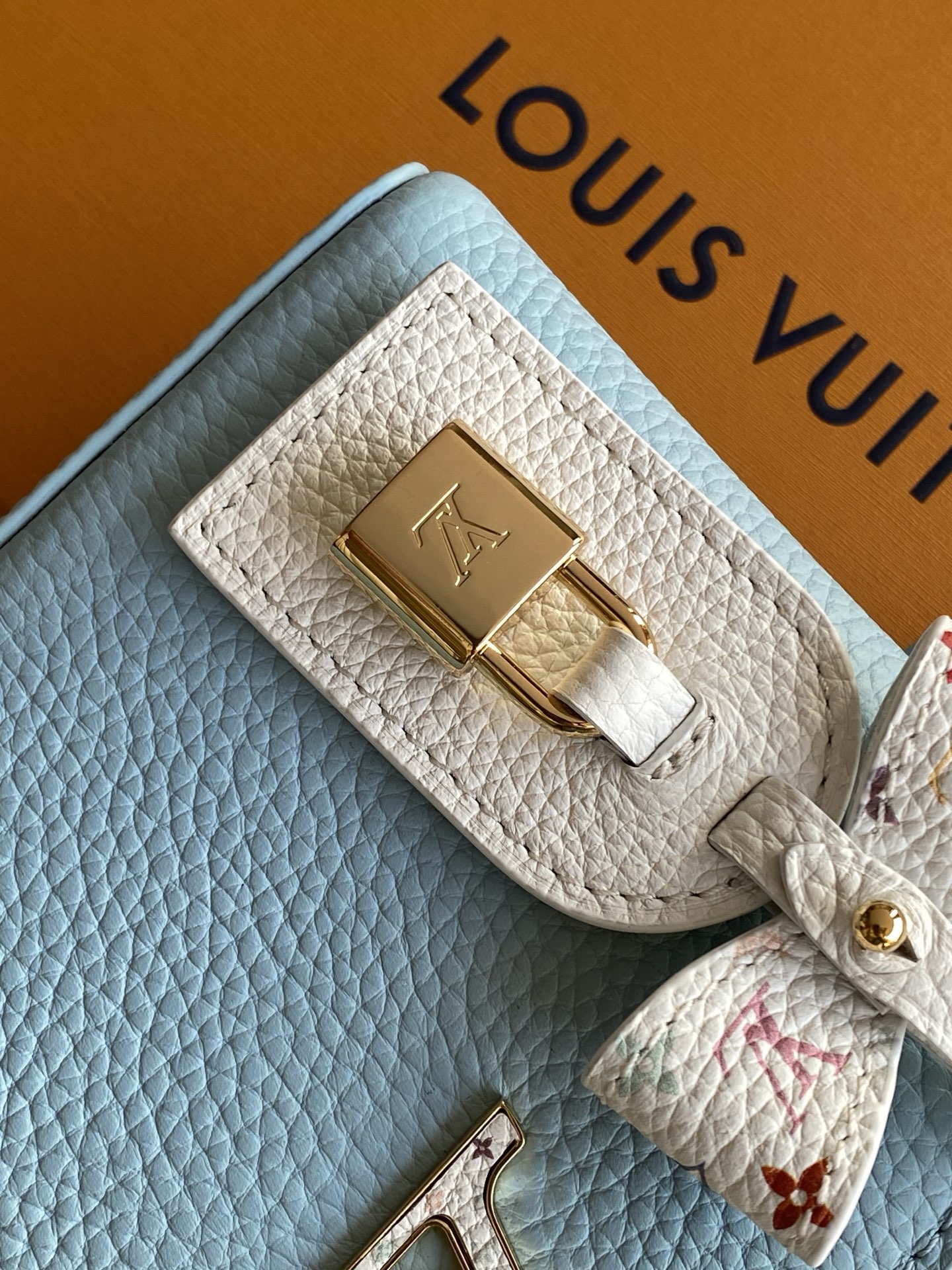 Louis Vuitton Basic Bag Cow Leather Black M-l-s