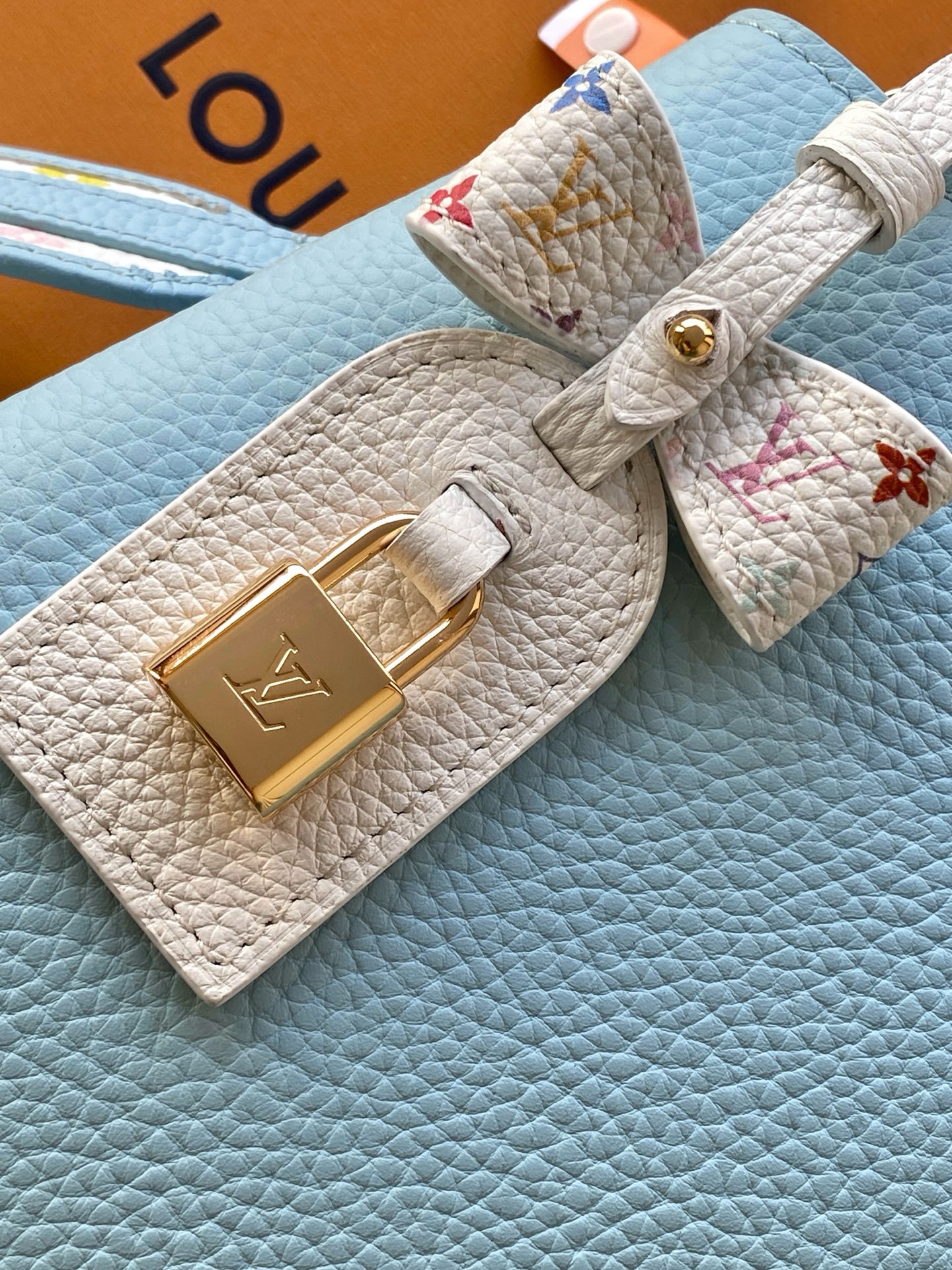 Louis Vuitton Basic Bag Cow Leather Black M-l-s