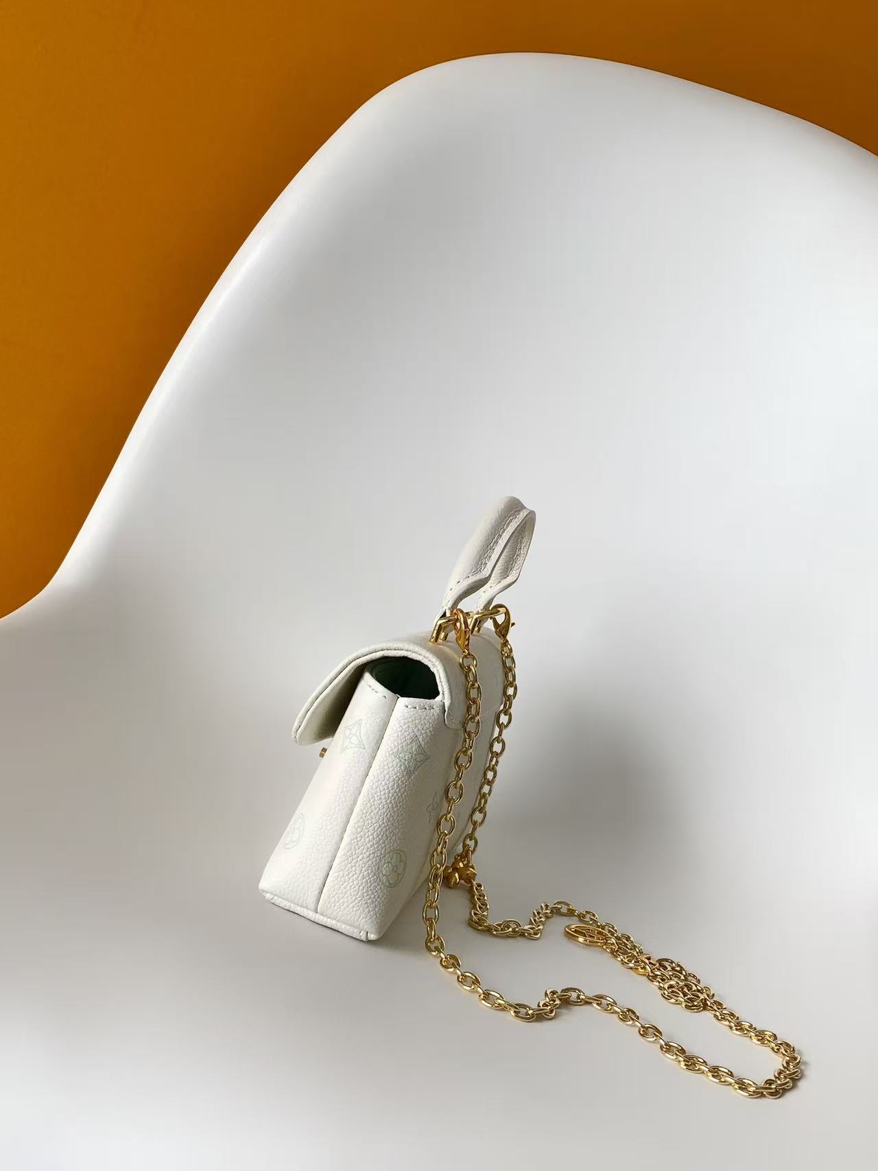 Louis Vuitton Basic Bag Cow Leather Black M-l-s