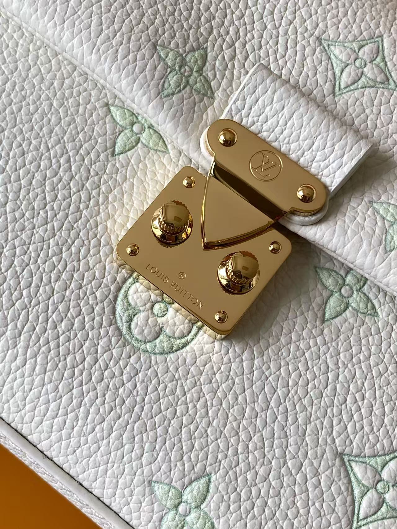 Louis Vuitton Basic Bag Cow Leather Black M-l-s