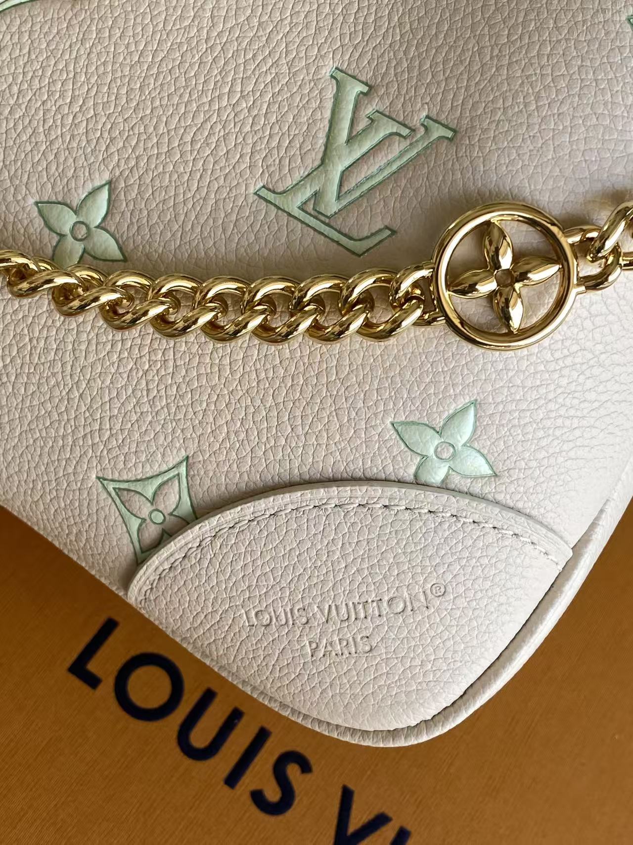 Louis Vuitton Basic Bag Cow Leather M-l