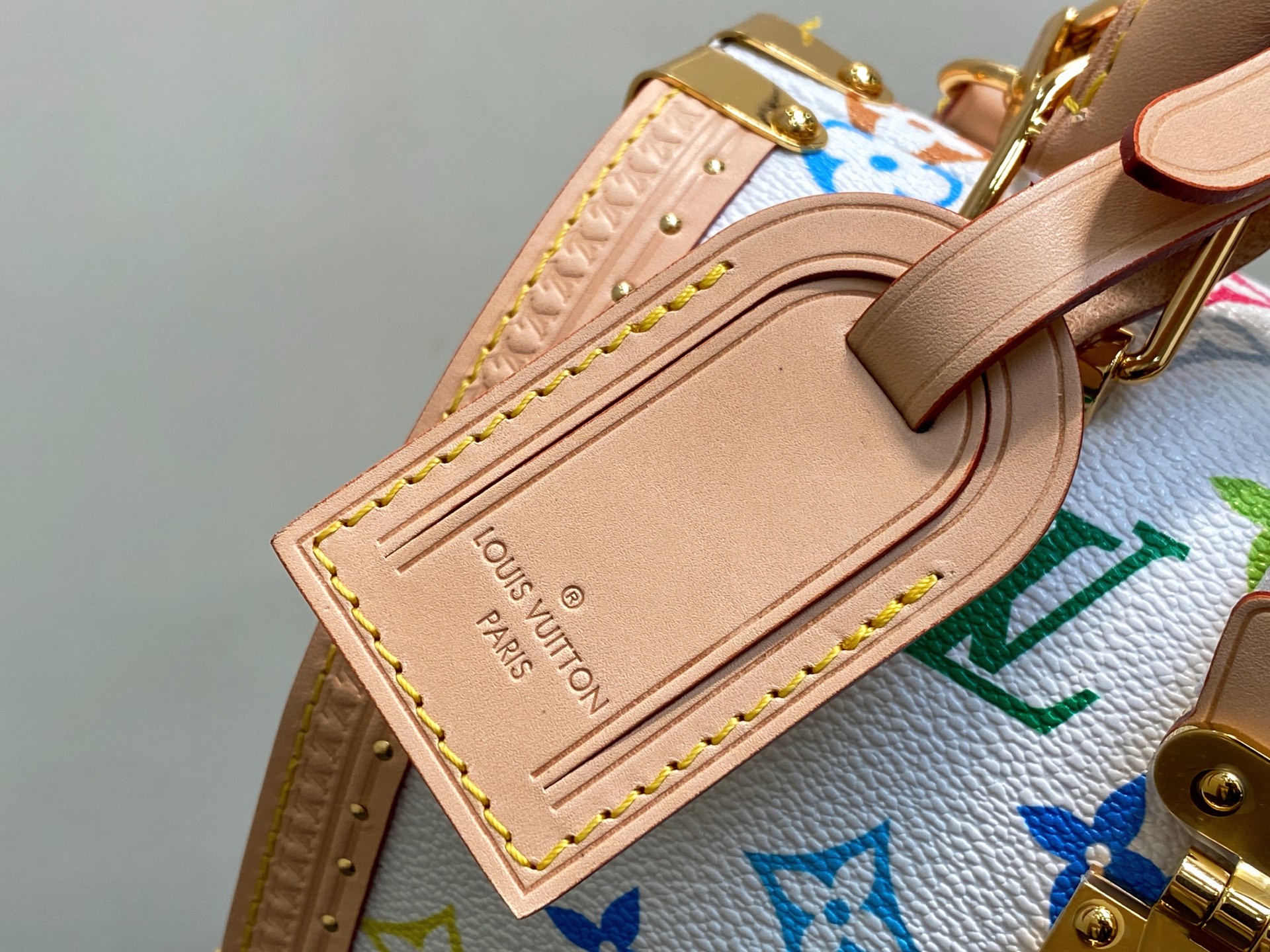 Louis Vuitton Basic Bag Cow Leather Gold M-l-s