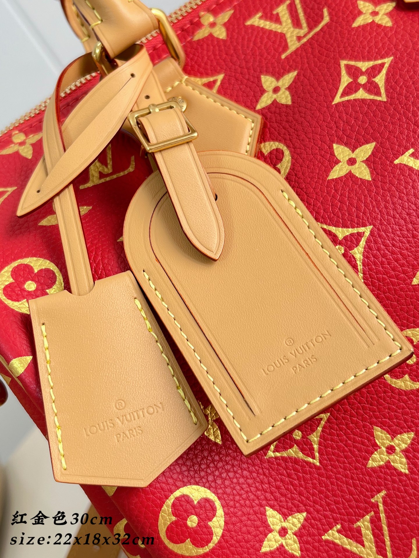 Louis Vuitton Basic Bag Cow Leather Gold M-l-s