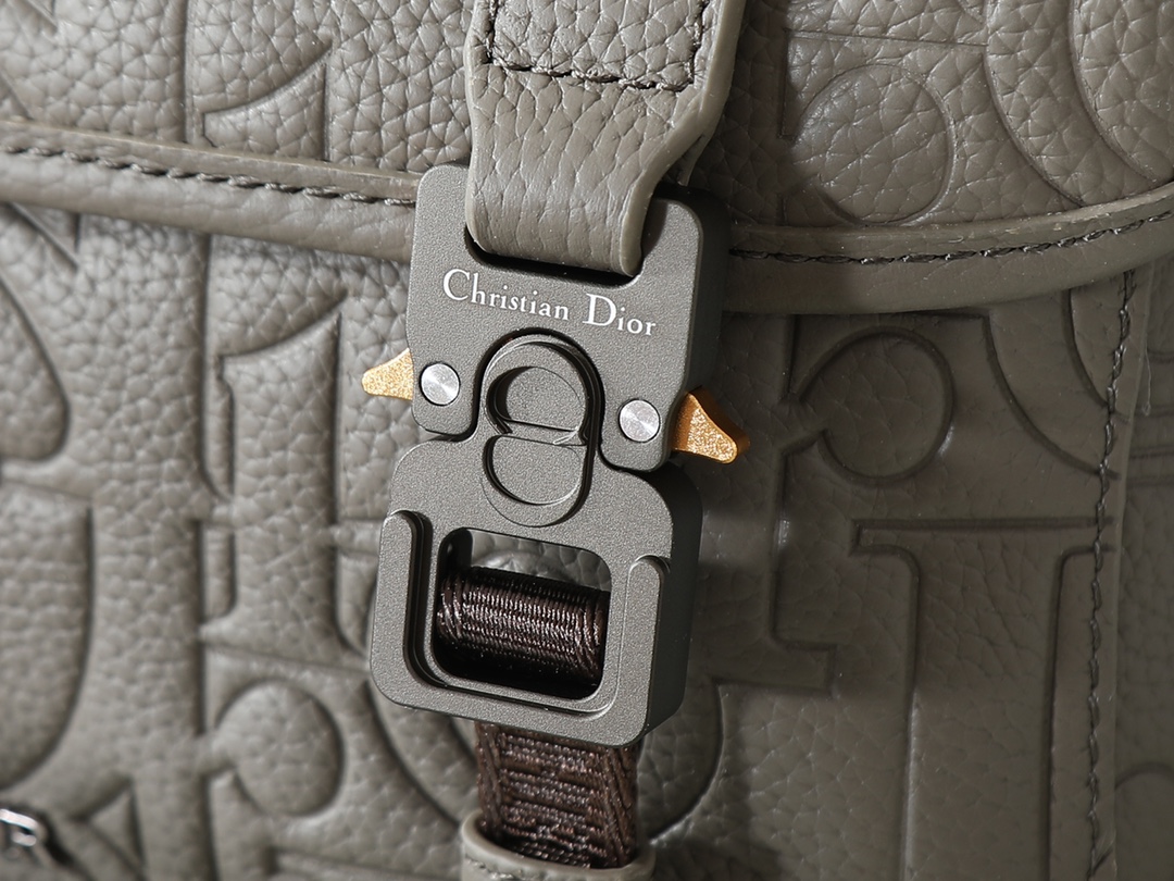 Dior Messenger Bag Cow Leather Gray L-s-333l