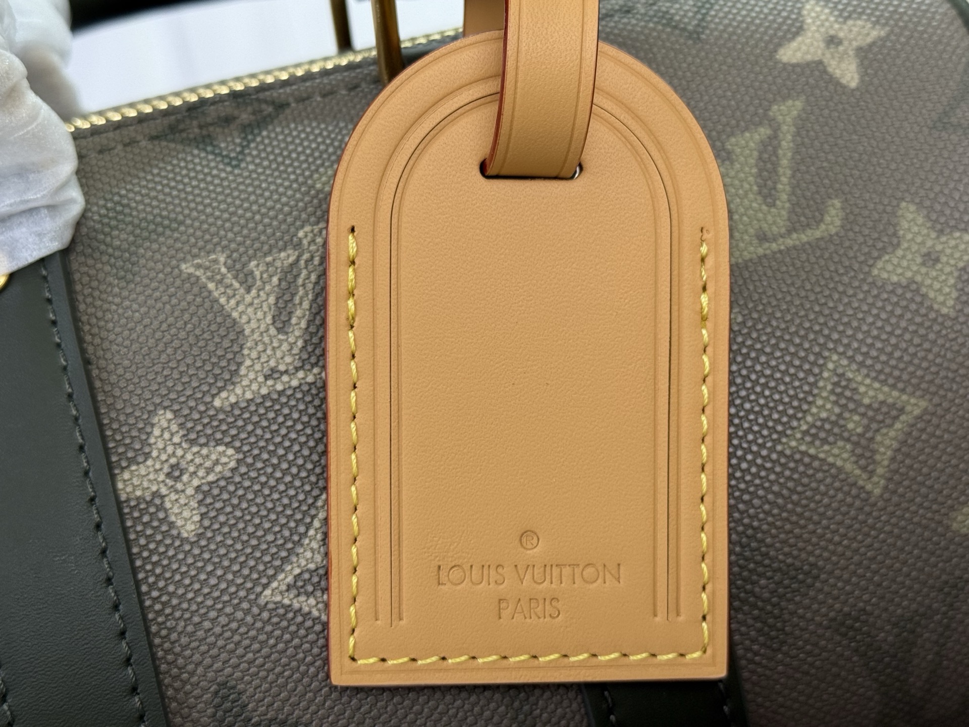 Louis Vuitton Basic Bag Canvas Green M-l-s
