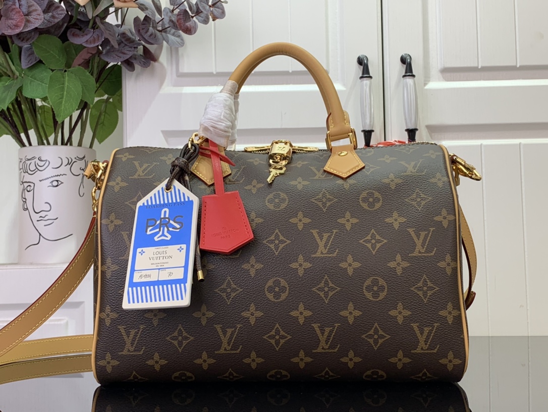 Louis Vuitton Basic Bag Canvas Black M-s