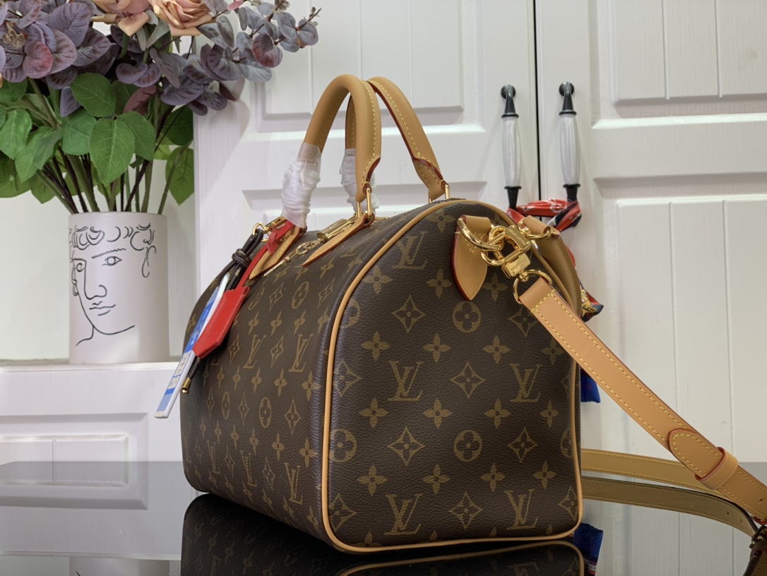 Louis Vuitton Basic Bag Canvas Black M-s