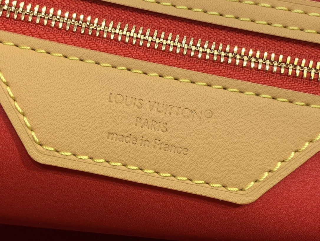 Louis Vuitton Basic Bag Canvas Black M-s