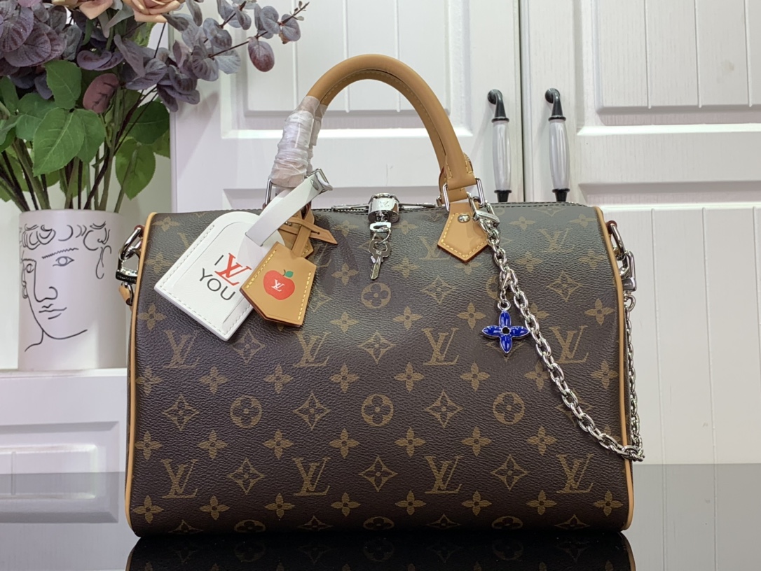 Louis Vuitton Basic Bag Canvas Black M-s