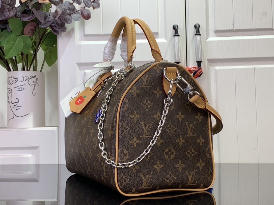 Louis Vuitton Basic Bag Canvas Black M-s