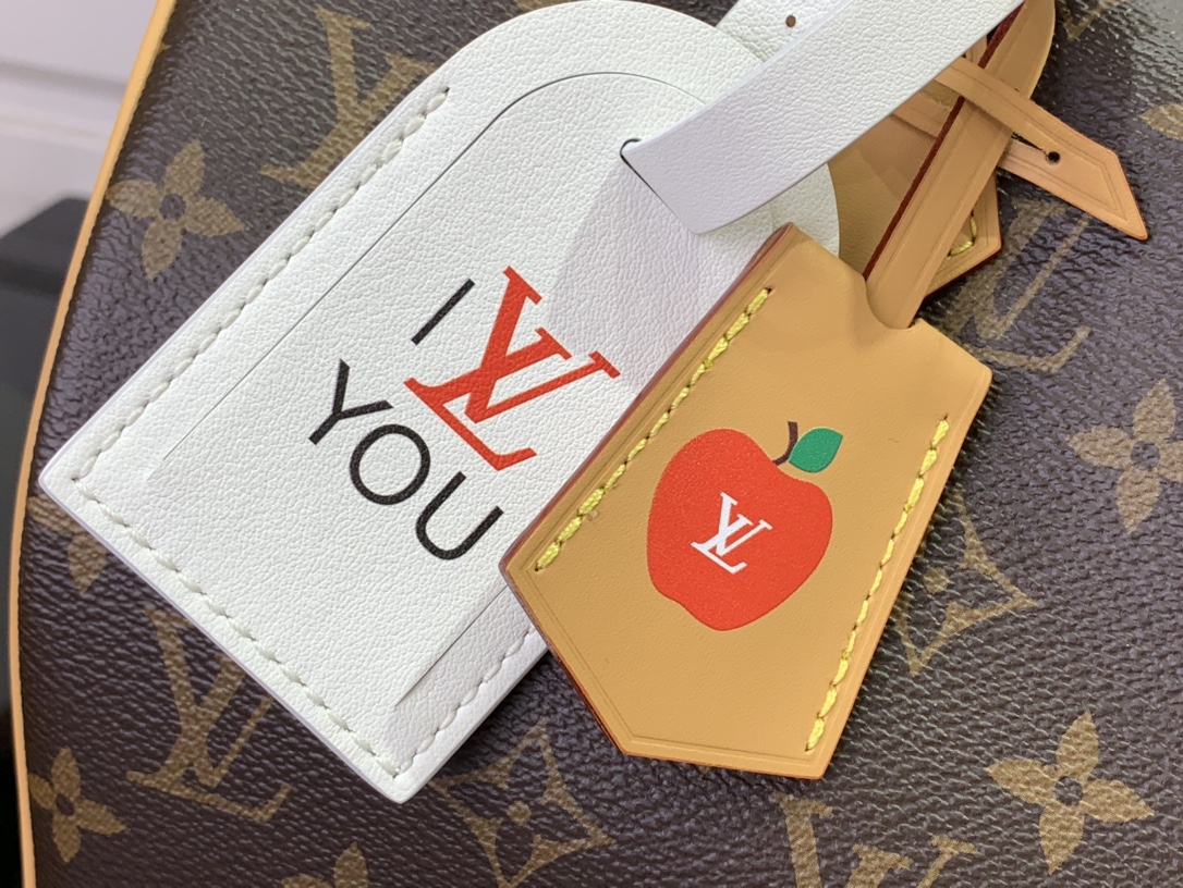 Louis Vuitton Basic Bag Canvas Black M-s