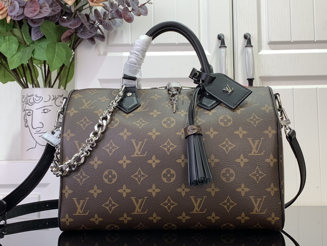 Louis Vuitton Basic Bag Canvas Black M-s