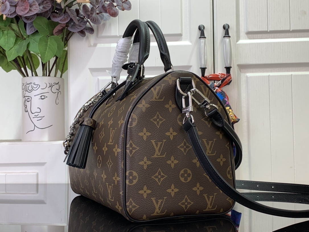 Louis Vuitton Basic Bag Canvas Black M-s