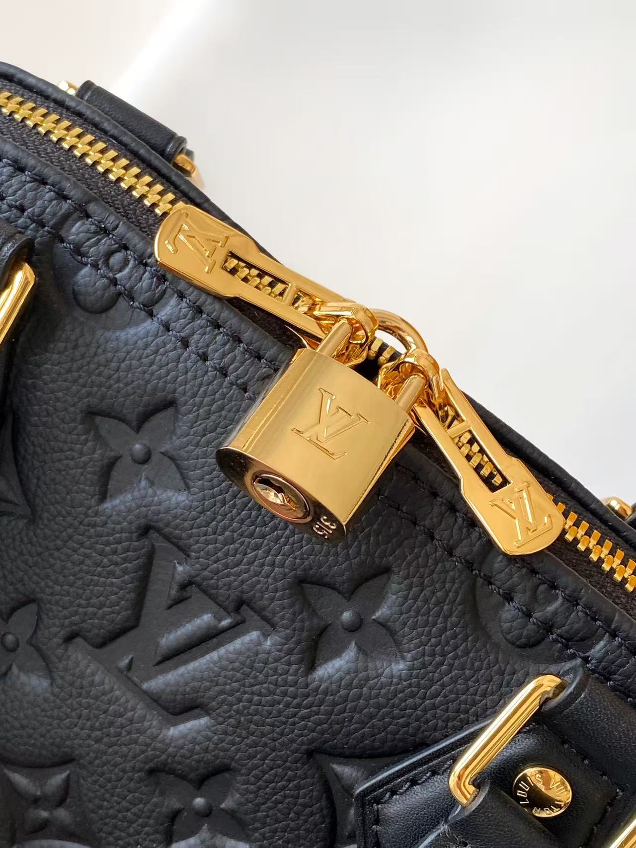 Louis Vuitton Basic Bag Cow Leather M-l-s