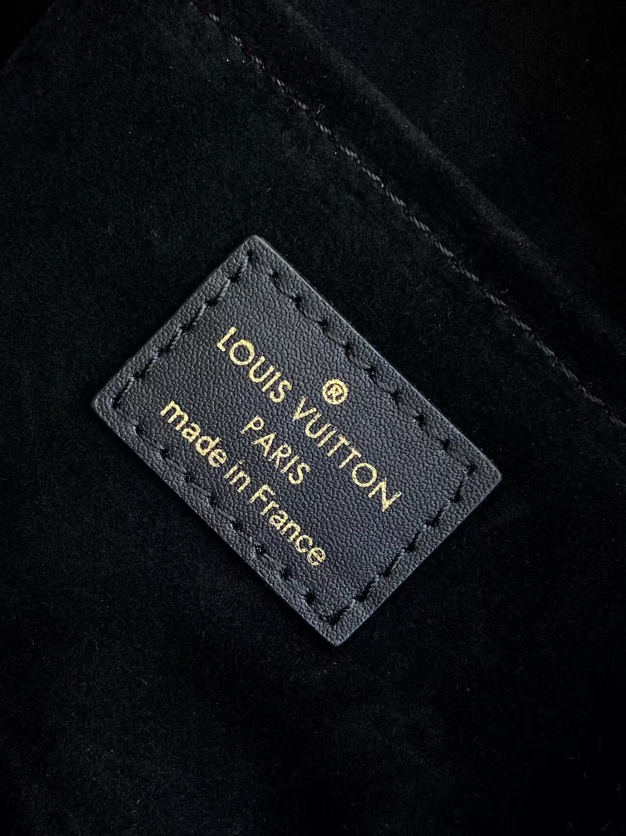 Louis Vuitton Basic Bag Cow Leather M-l-s