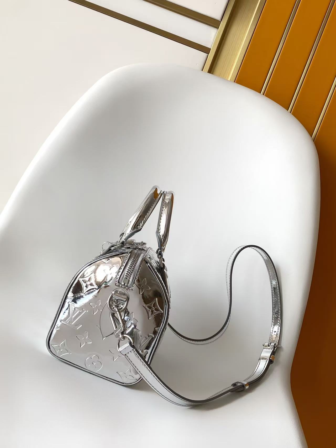 Louis Vuitton Basic Bag Canvas Silver M-l-s