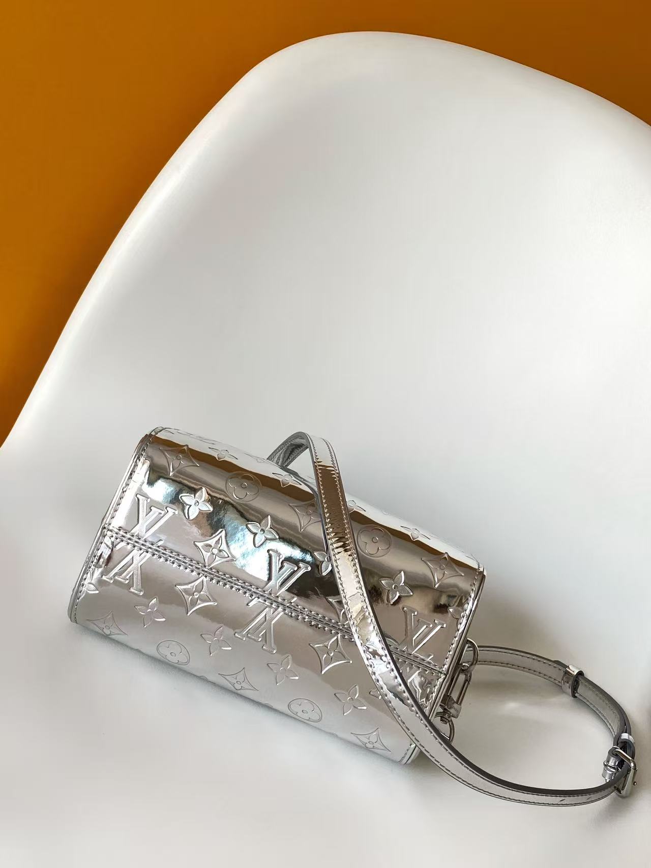 Louis Vuitton Basic Bag Canvas Silver M-l-s