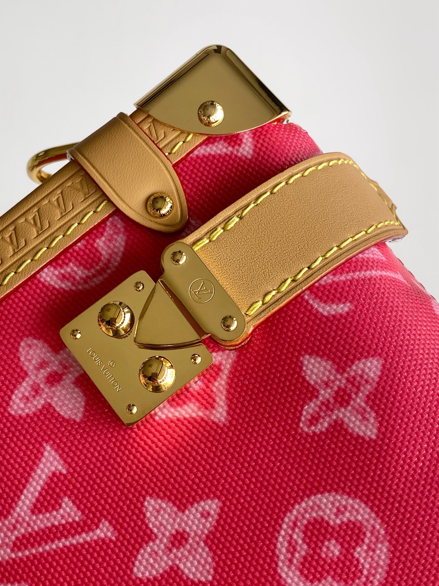 Louis Vuitton Basic Bag Cow Leather Gold M-s