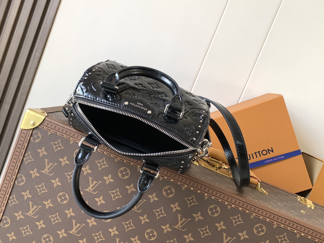 Louis Vuitton Basic Bag Cow Leather Black M-s