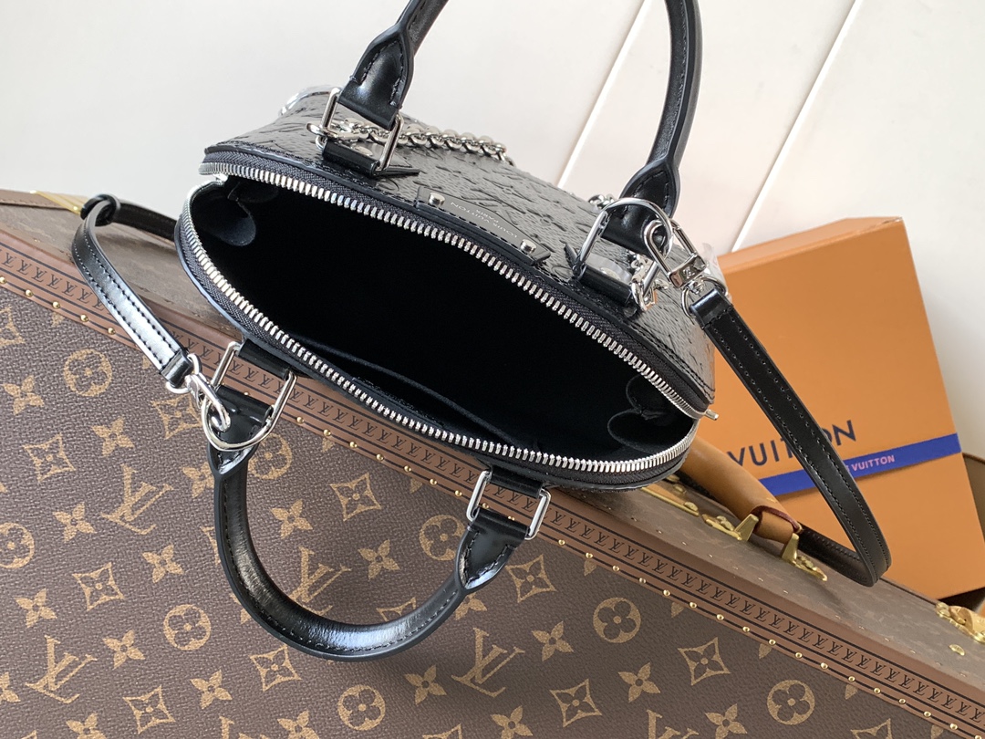 Louis Vuitton Basic Bag Cow Leather M-l-s