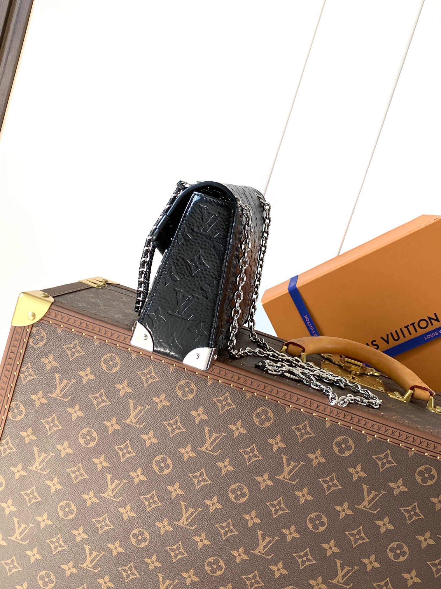 Louis Vuitton Basic Bag Cow Leather M-l-s