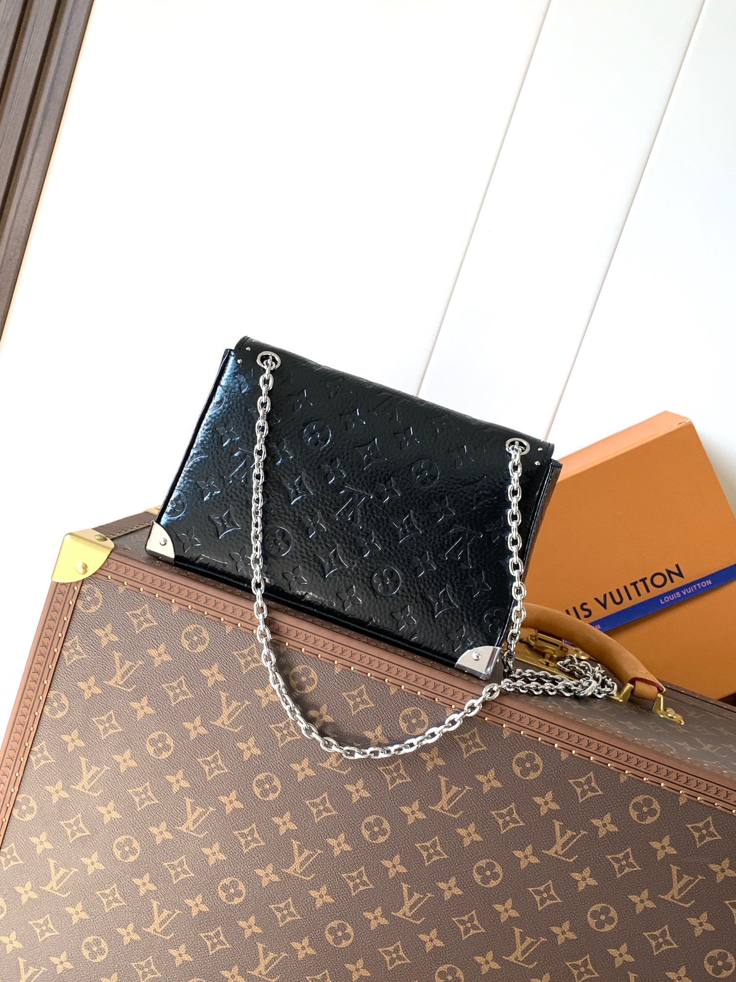 Louis Vuitton Basic Bag Cow Leather M-l-s