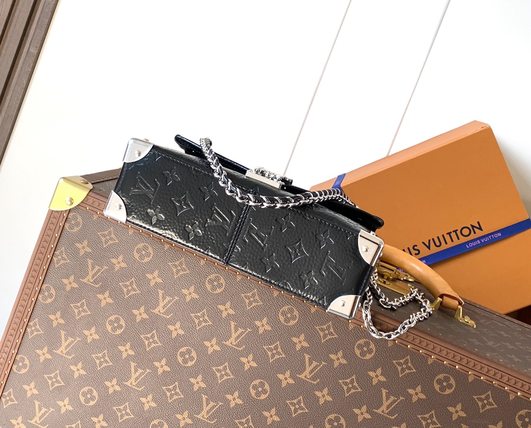 Louis Vuitton Basic Bag Cow Leather M-l-s