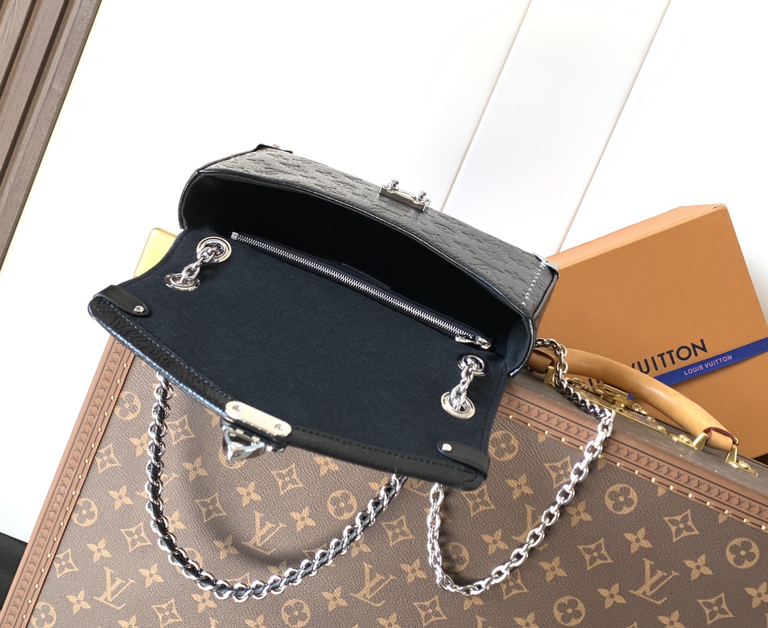 Louis Vuitton Basic Bag Cow Leather M-l-s