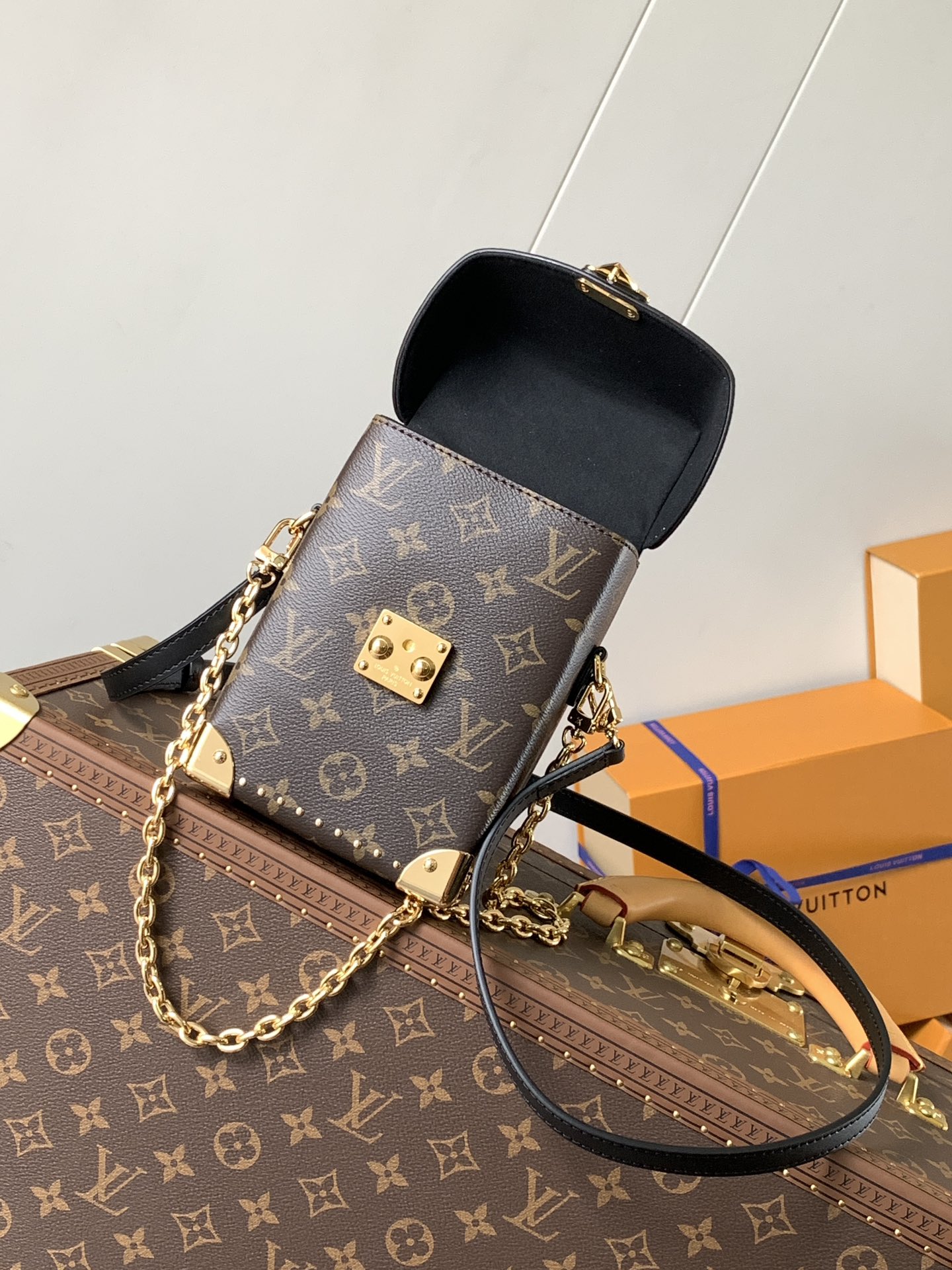 Louis Vuitton Basic Bag Cow Leather M-l-s