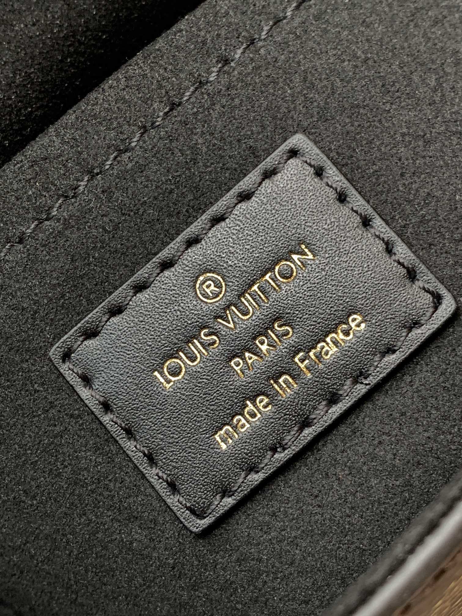 Louis Vuitton Basic Bag Cow Leather M-l-s