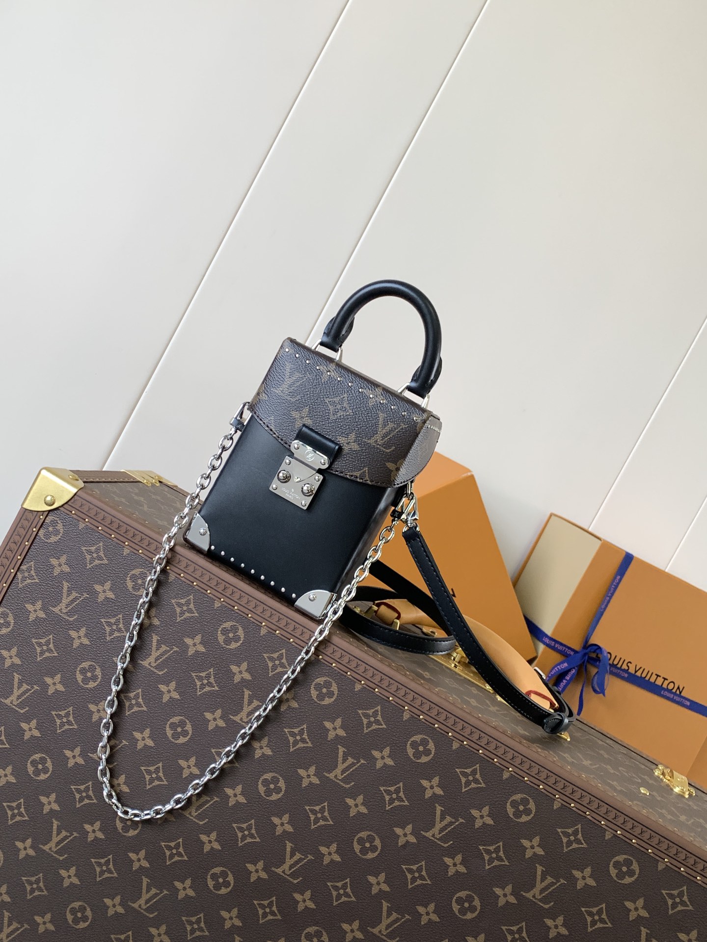 Louis Vuitton Basic Bag Cow Leather M-l-s
