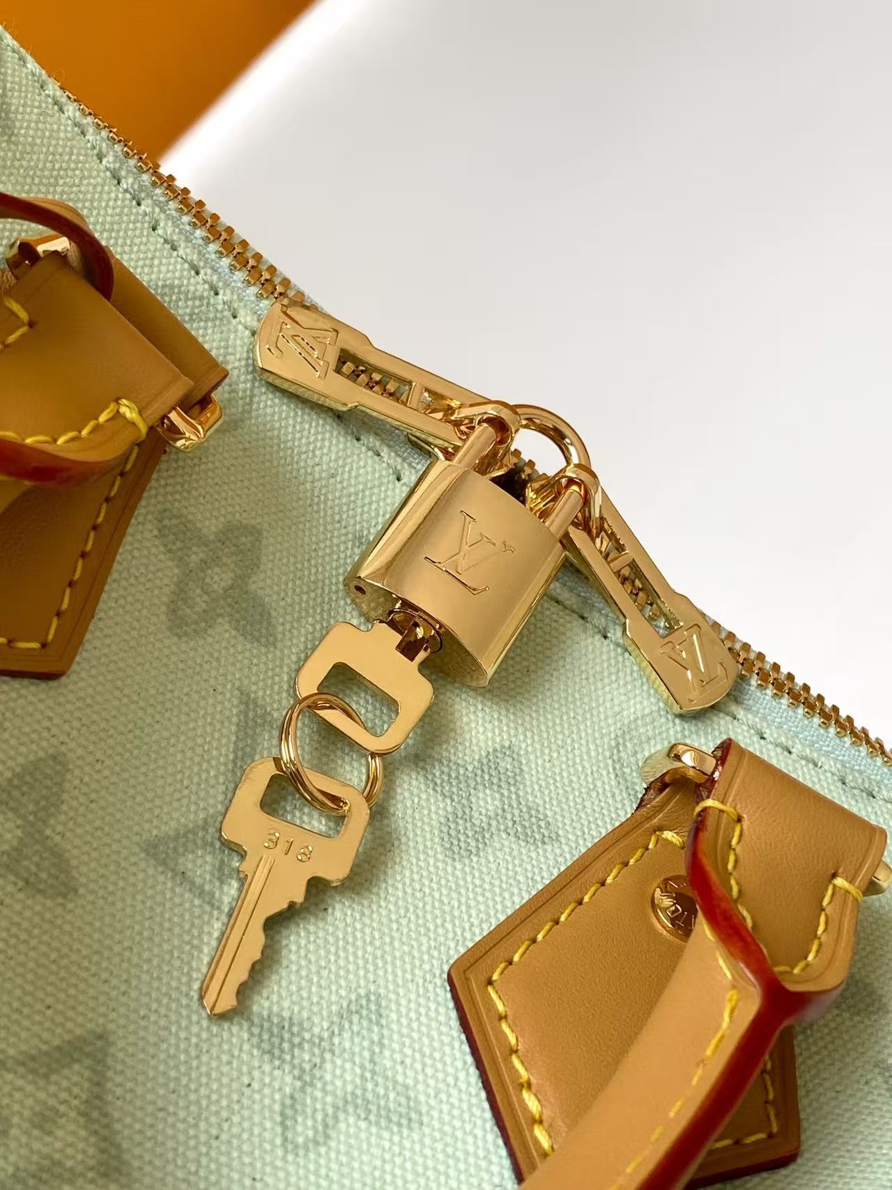 Louis Vuitton Basic Bag Cow Leather M-l-s