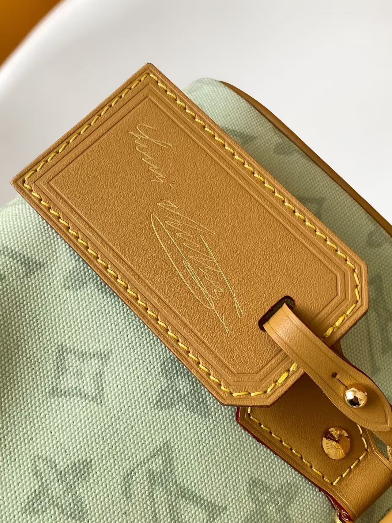 Louis Vuitton Basic Bag Cow Leather M-l-s