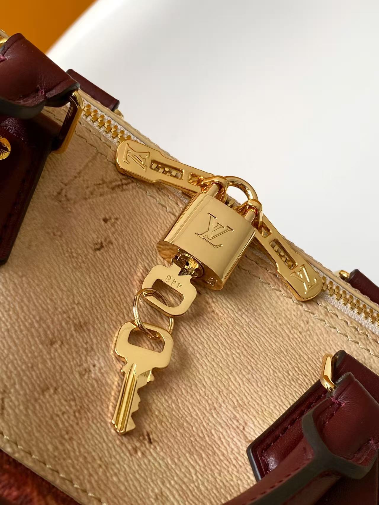 Louis Vuitton Basic Bag Canvas M-l-s