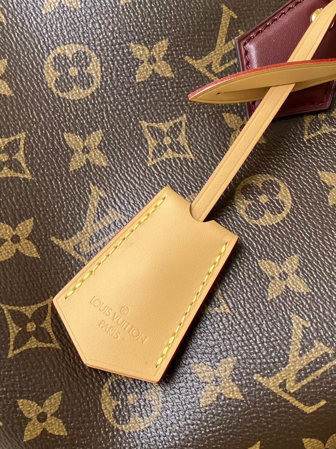 Louis Vuitton Basic Bag Canvas Black M-s