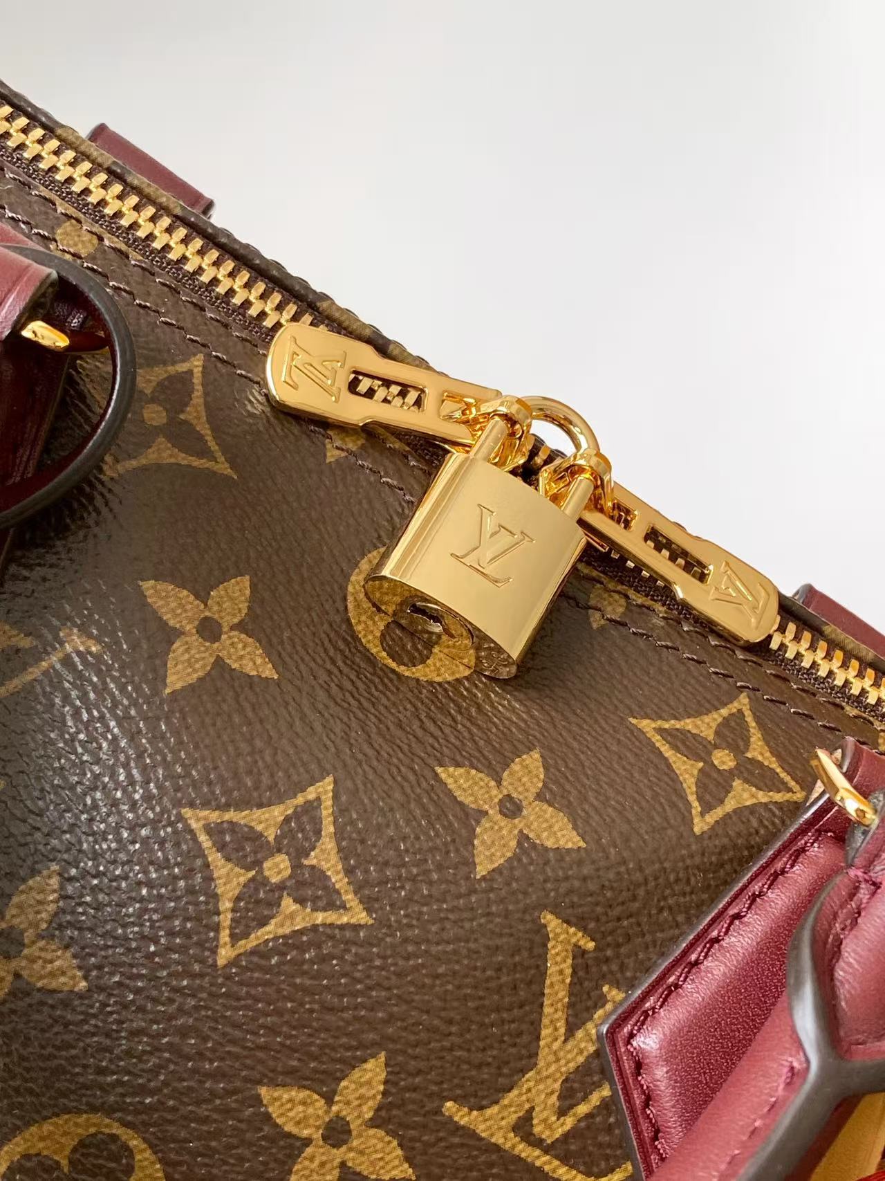 Louis Vuitton Basic Bag Canvas Black M-s