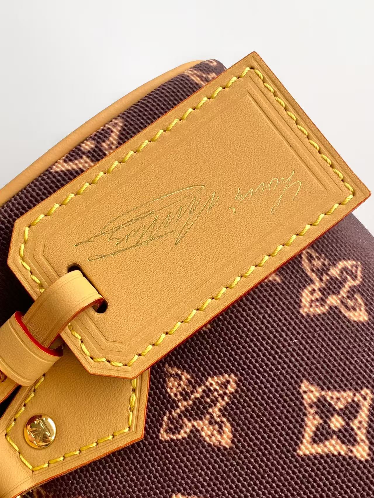 Louis Vuitton Basic Bag Cow Leather M-s