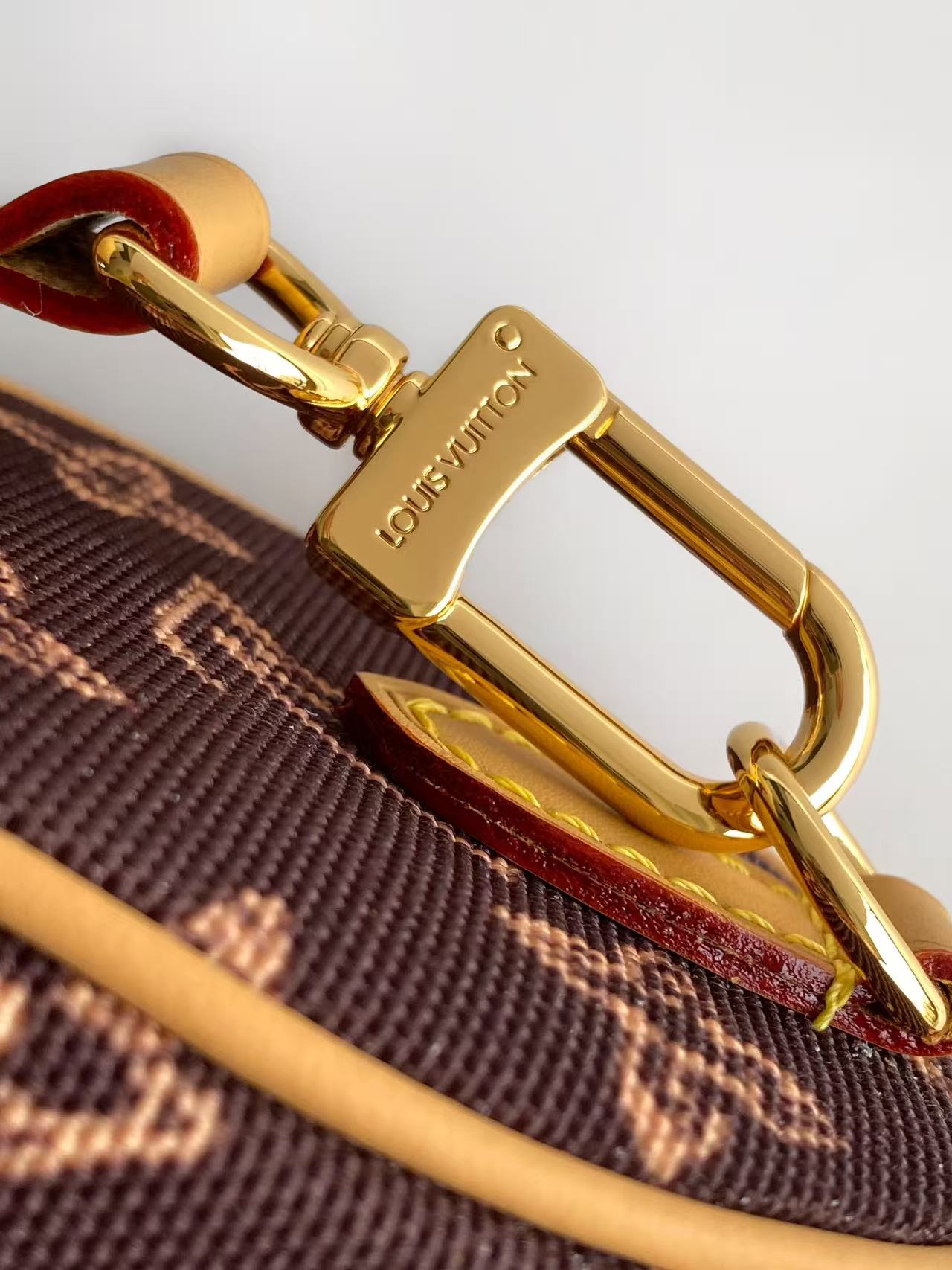 Louis Vuitton Basic Bag Cow Leather M-s