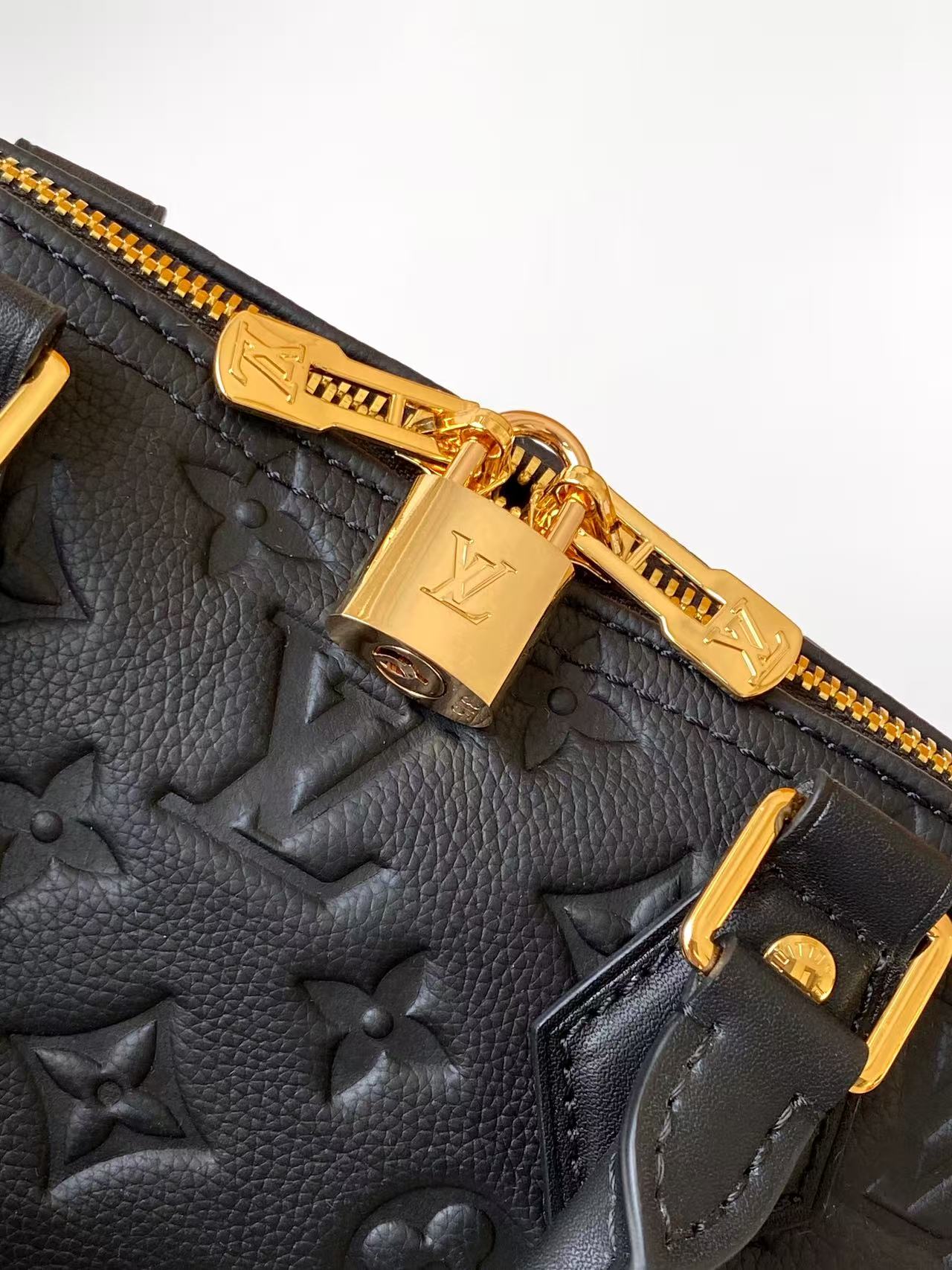 Louis Vuitton Basic Bag Cow Leather M-l-s