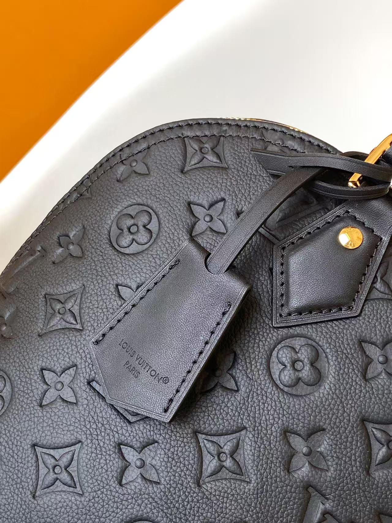 Louis Vuitton Basic Bag Cow Leather M-l-s