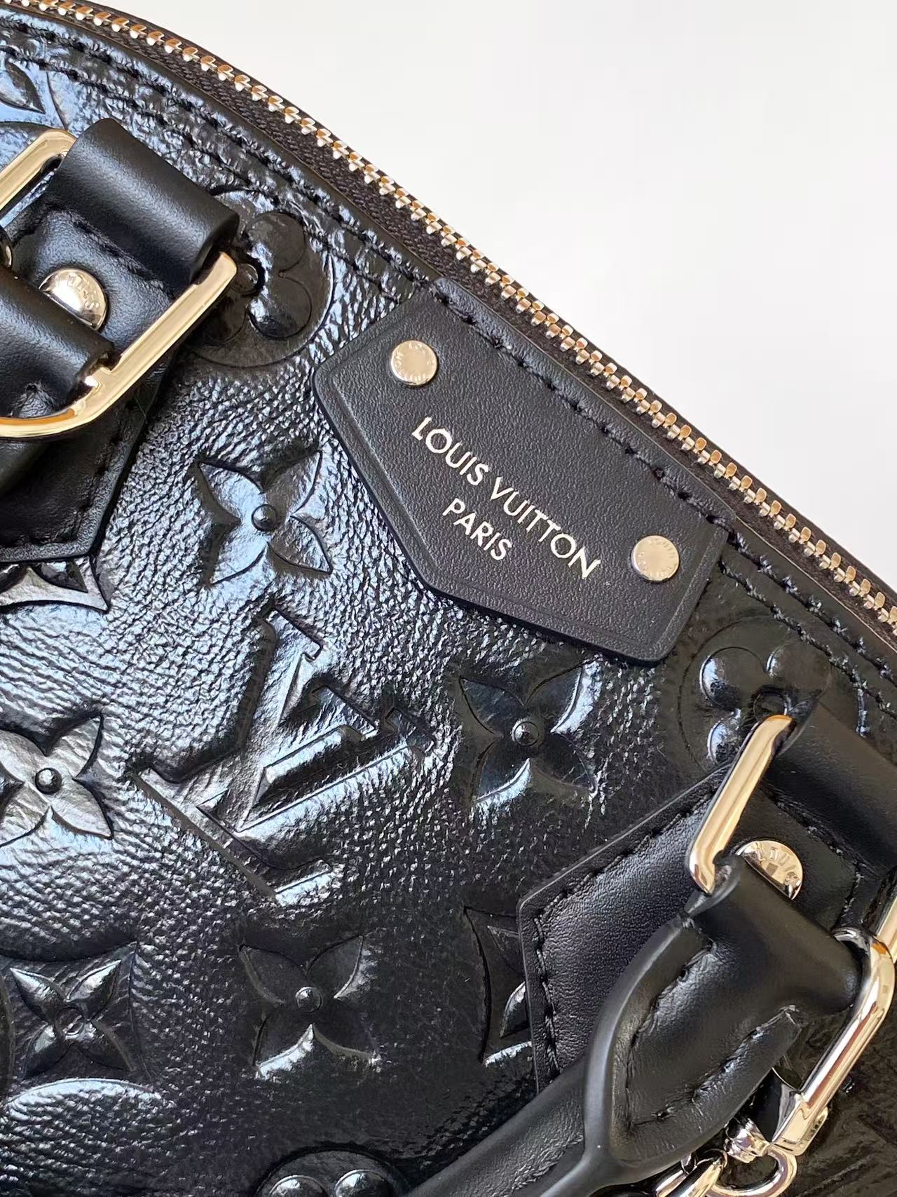 Louis Vuitton Basic Bag Cow Leather M-l-s