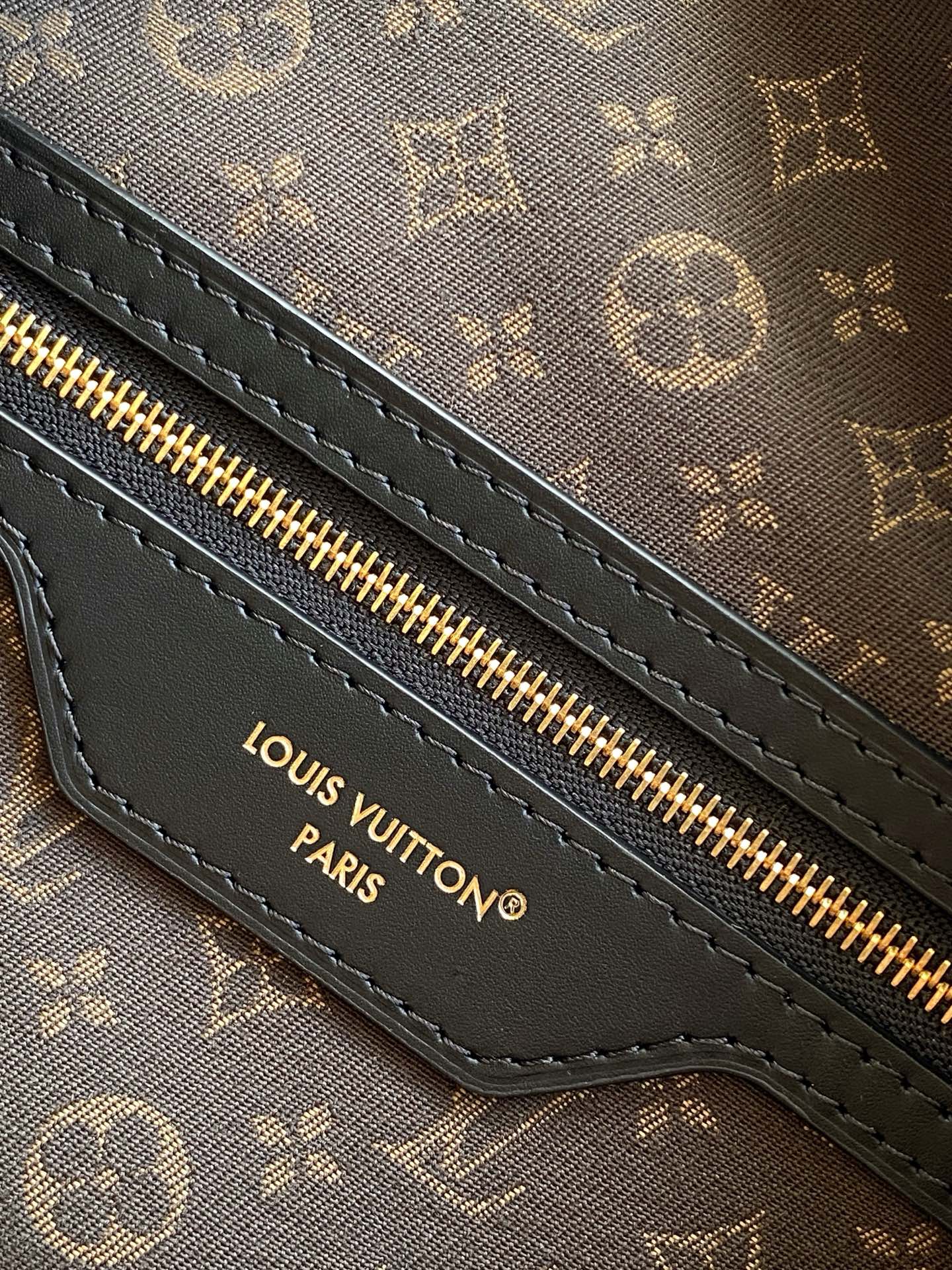 Louis Vuitton Basic Bag Cow Leather M-l-s