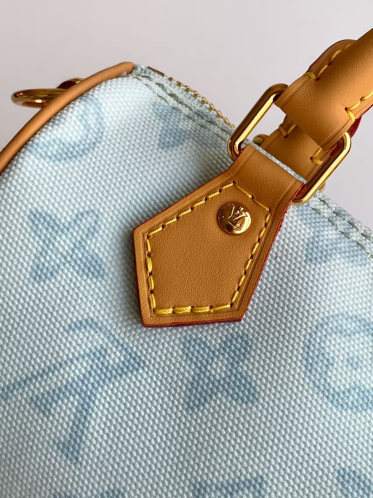 Louis Vuitton Basic Bag Cow Leather Blue M-s