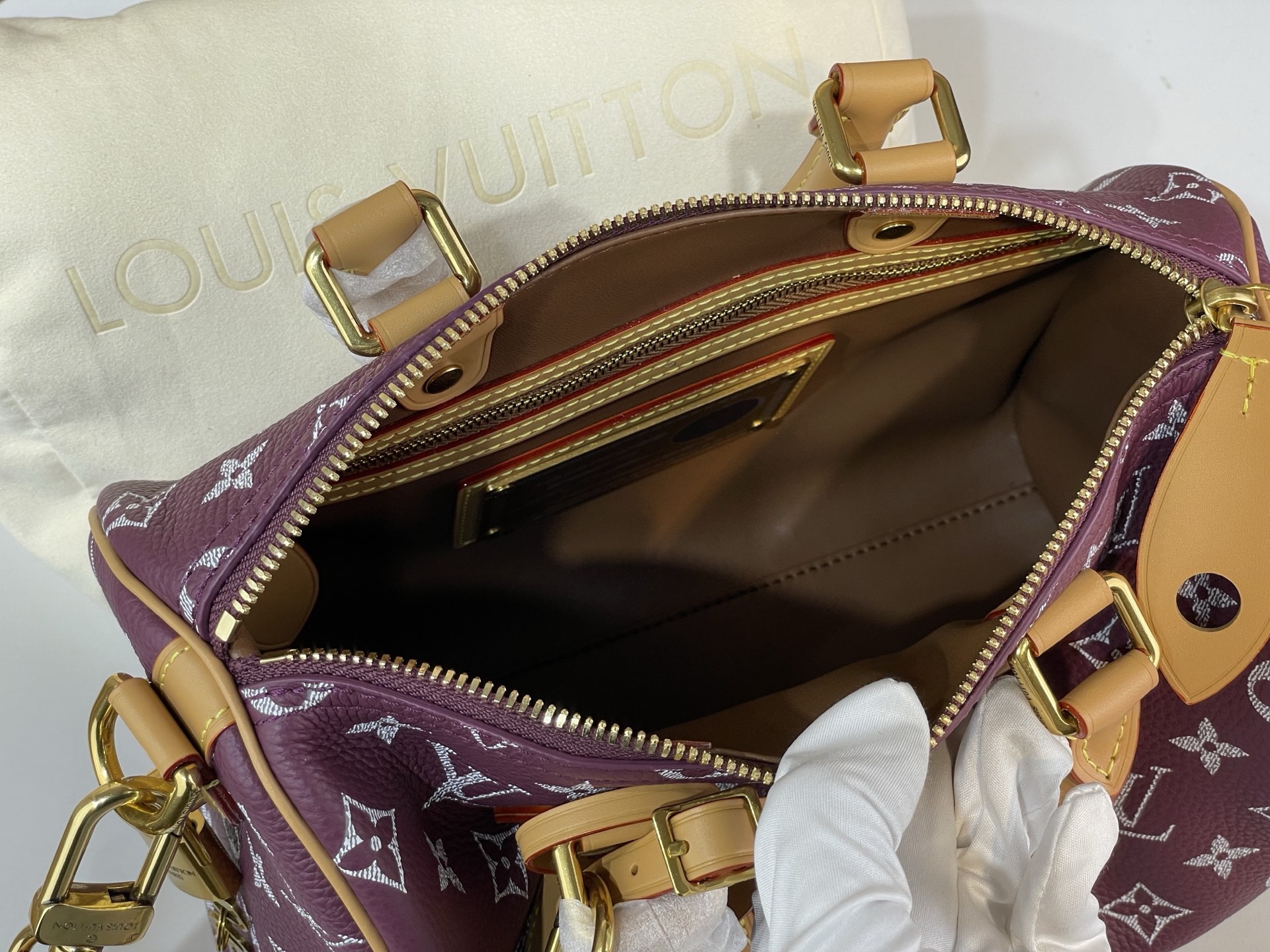 Louis Vuitton Basic Bag Cow Leather M-l-s