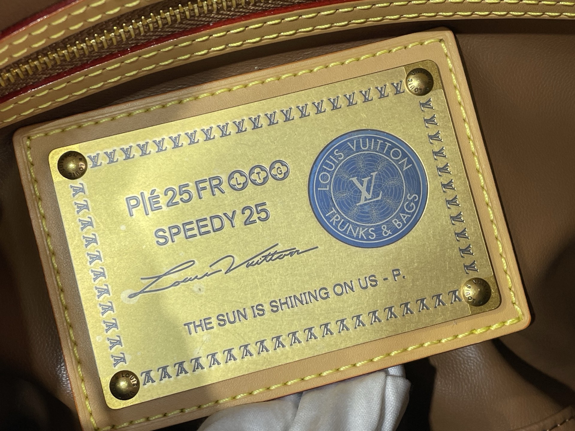 Louis Vuitton Basic Bag Cow Leather M-l-s